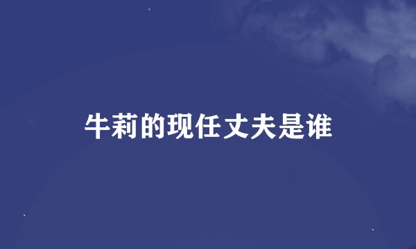 牛莉的现任丈夫是谁