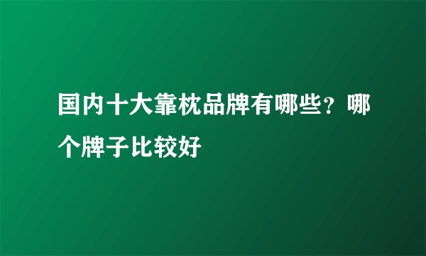 国内十大靠枕品牌有哪些？哪个牌子比较好