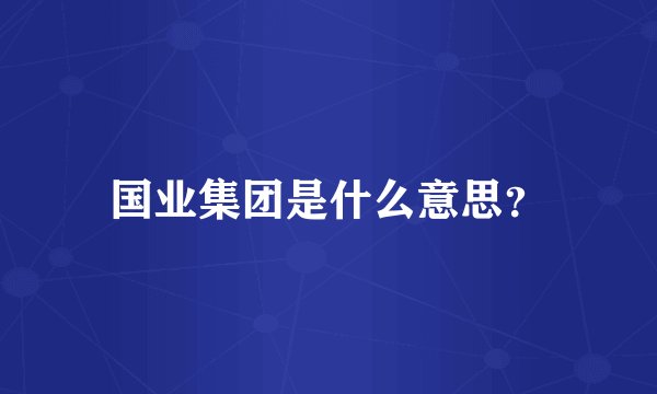 国业集团是什么意思？