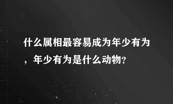 什么属相最容易成为年少有为，年少有为是什么动物？