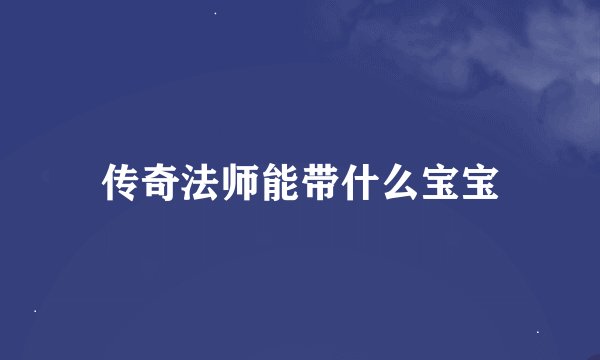 传奇法师能带什么宝宝
