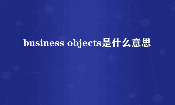 business objects是什么意思