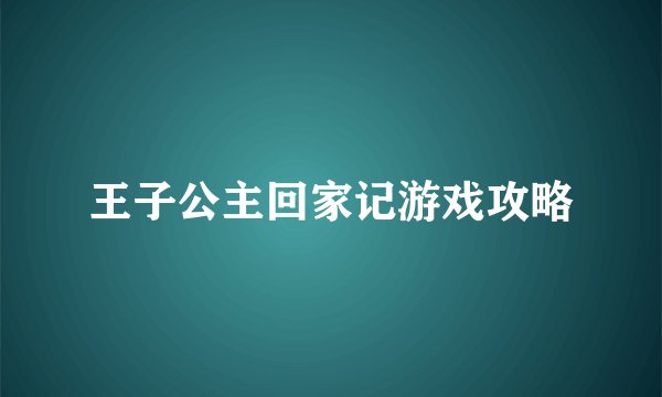 王子公主回家记游戏攻略