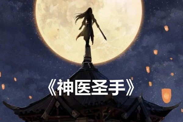 十大最好看的神医小说