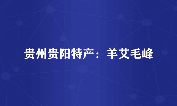 贵州贵阳特产：羊艾毛峰
