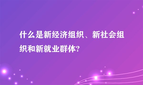 什么是新经济组织、新社会组织和新就业群体?