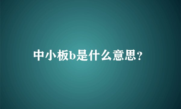 中小板b是什么意思？