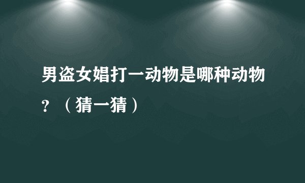 男盗女娼打一动物是哪种动物？（猜一猜）