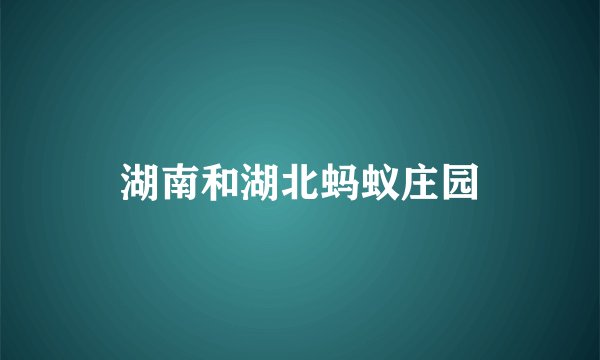 湖南和湖北蚂蚁庄园
