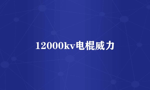 12000kv电棍威力