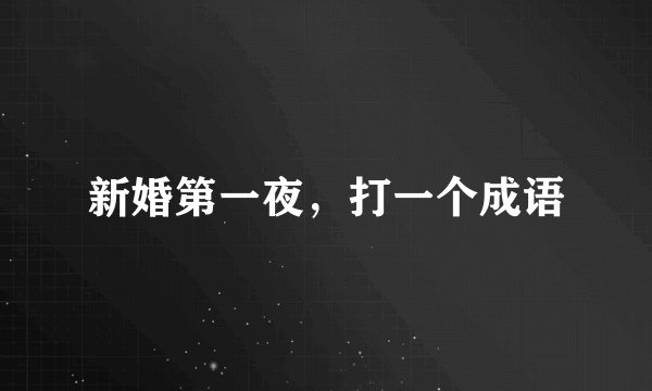 新婚第一夜，打一个成语