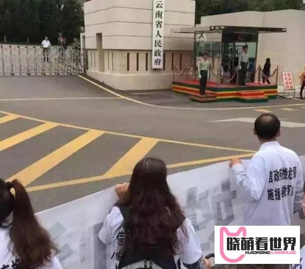 起底泛亚：你贪的是他的利息，他要的是你的本金