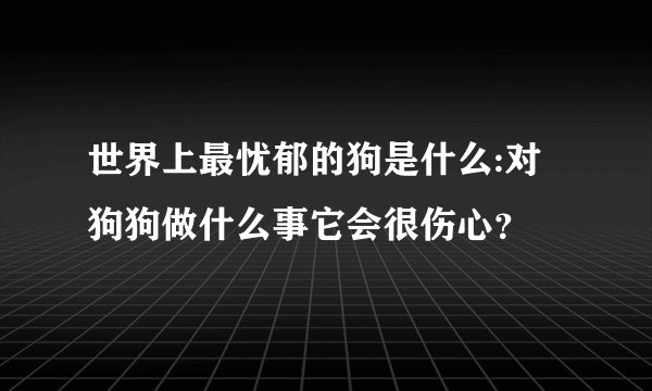 世界上最忧郁的狗是什么:对狗狗做什么事它会很伤心？