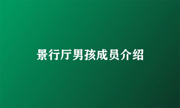 景行厅男孩成员介绍