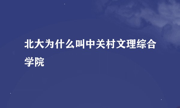 北大为什么叫中关村文理综合学院