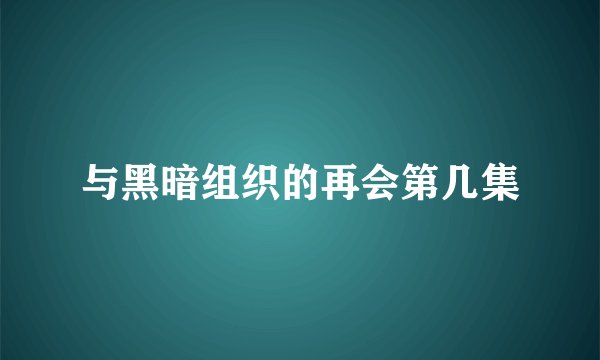与黑暗组织的再会第几集