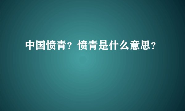中国愤青？愤青是什么意思？