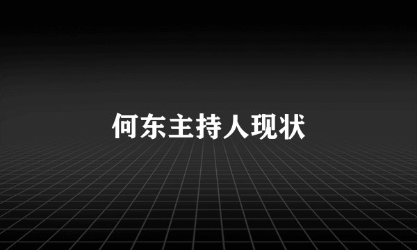 何东主持人现状