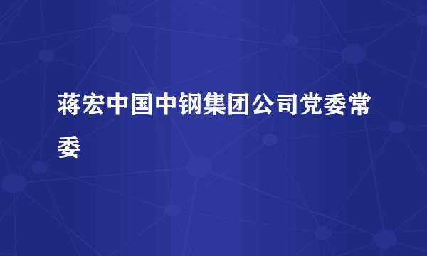 蒋宏中国中钢集团公司党委常委
