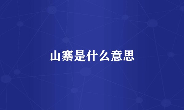 山寨是什么意思