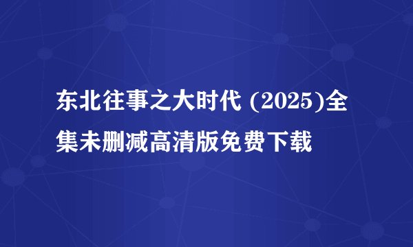 东北往事之大时代 (2025)全集未删减高清版免费下载