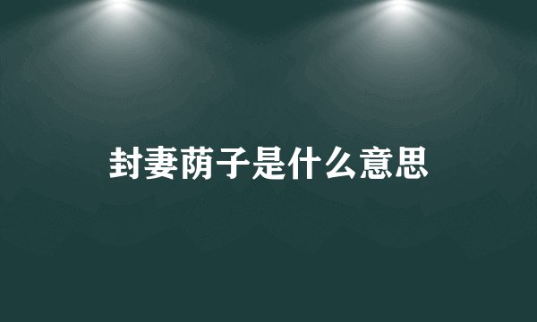 封妻荫子是什么意思