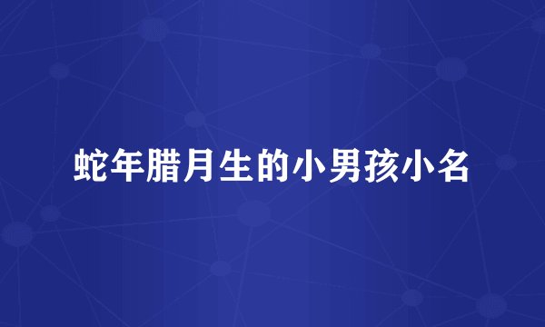 蛇年腊月生的小男孩小名