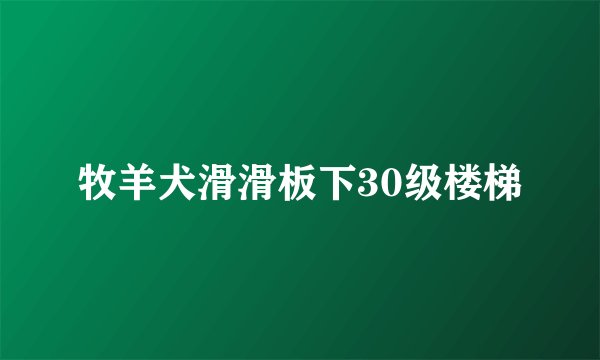 牧羊犬滑滑板下30级楼梯