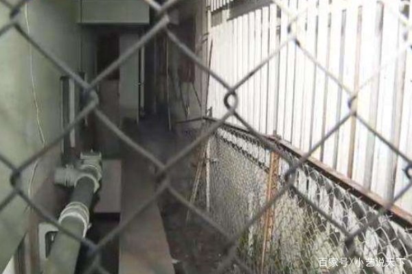 横滨发生“台球式”坠楼事故,具体情况是怎样的?
