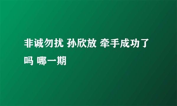 非诚勿扰 孙欣放 牵手成功了吗 哪一期
