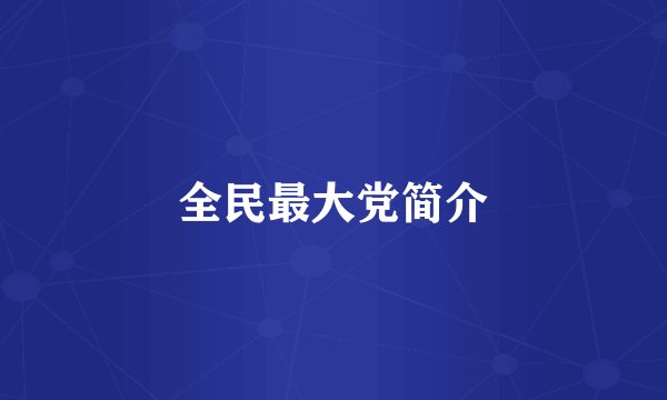 全民最大党简介