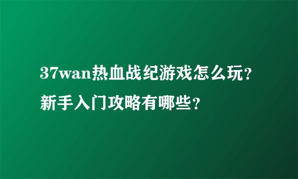 37wan热血战纪游戏怎么玩？新手入门攻略有哪些？