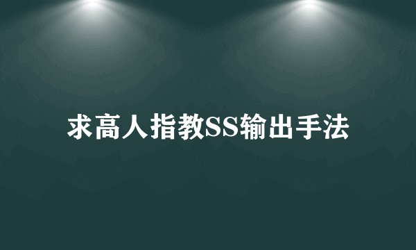 求高人指教SS输出手法