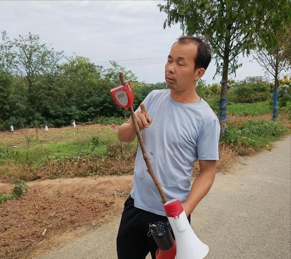 南京野猪跑到田里听歌睡大觉 网友：有情怀的野猪