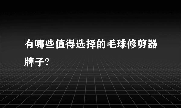 有哪些值得选择的毛球修剪器牌子?