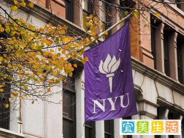 花开蝶自来！歌手“霉霉”获得纽约大学荣誉博士学位