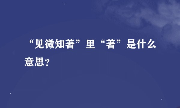 “见微知著”里“著”是什么意思？
