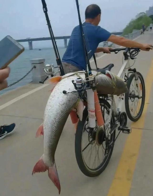 男子在湘江中钓到一条重达68斤的“水老虎”,最终他是如何处理这条鱼的?