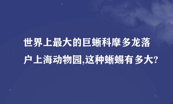 世界上最大的巨蜥科摩多龙落户上海动物园,这种蜥蜴有多大?