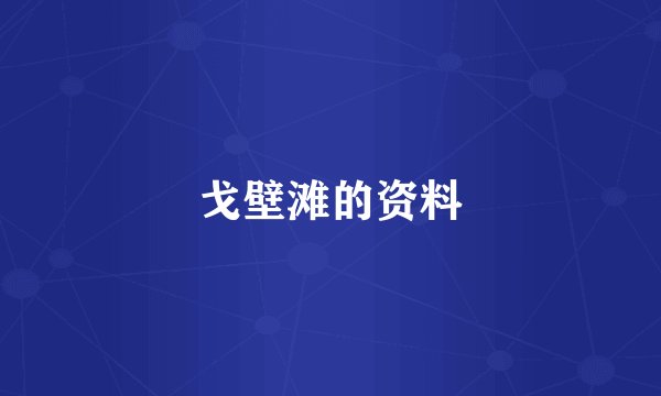 戈壁滩的资料