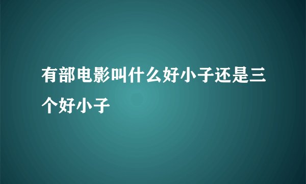 有部电影叫什么好小子还是三个好小子