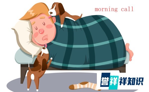 morning call 这是什么意思