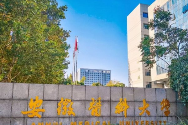 安徽医科大学2021录取分数线