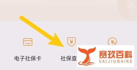 重庆市社保卡查询个人账户查询