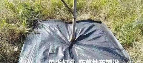 防草布一亩地多少钱