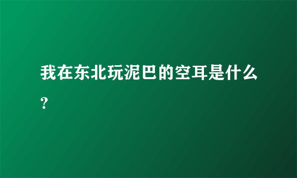 我在东北玩泥巴的空耳是什么？
