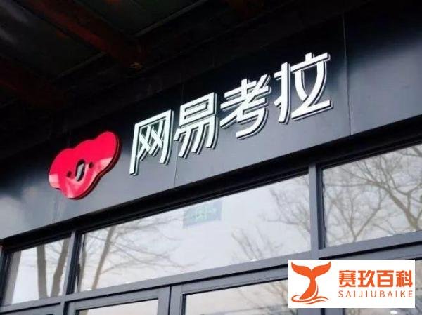 「热门」动物园再招一员大将,阿里收购网易考拉