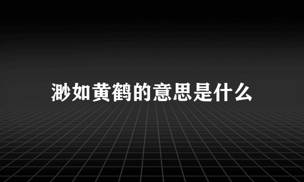 渺如黄鹤的意思是什么