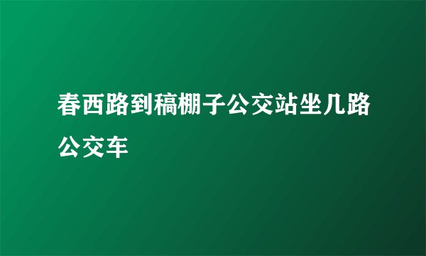 春西路到稿棚子公交站坐几路公交车