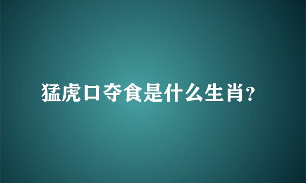 猛虎口夺食是什么生肖？